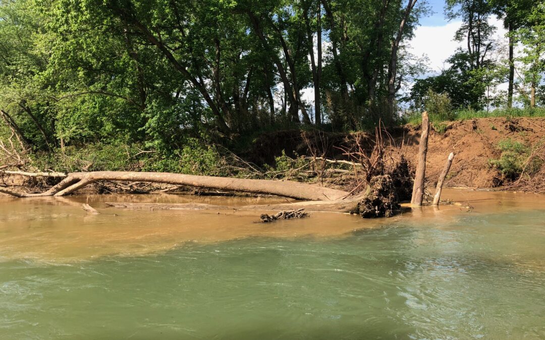 Beaver Lake Watershed Streambank Erosion & Barrier Assessment